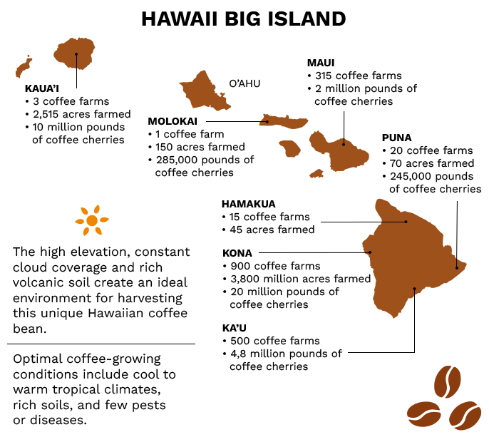 COFFEE REGION DETAILS